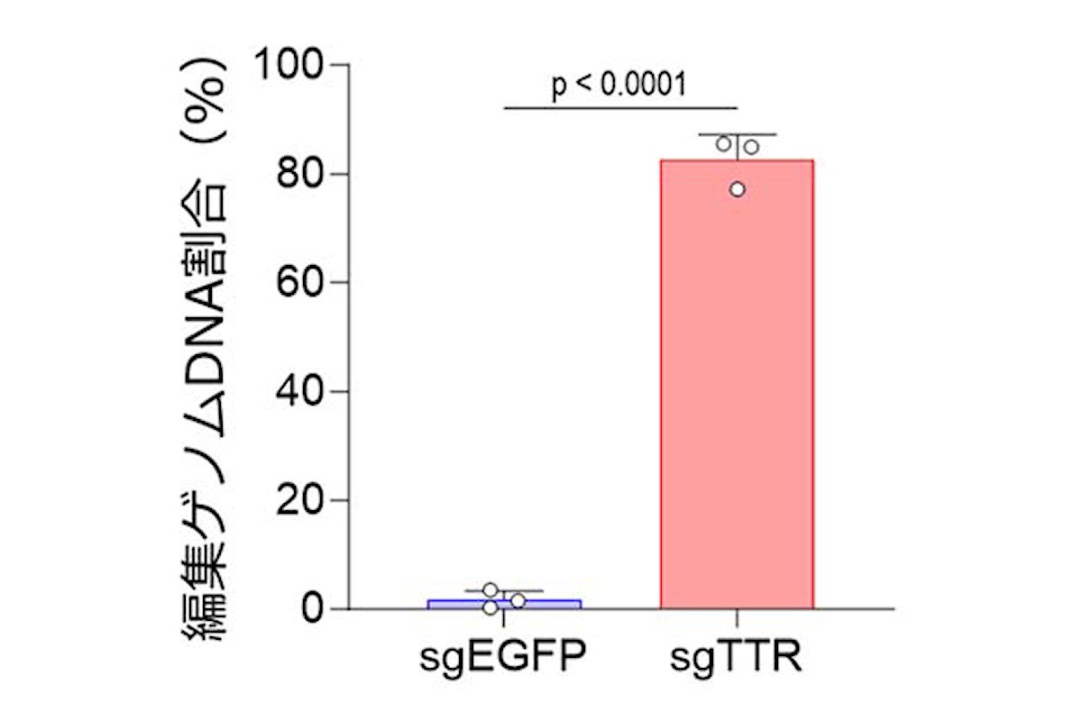 ζ含有CRISPR-LNPによる標的ゲノムDNA領域の編集割合