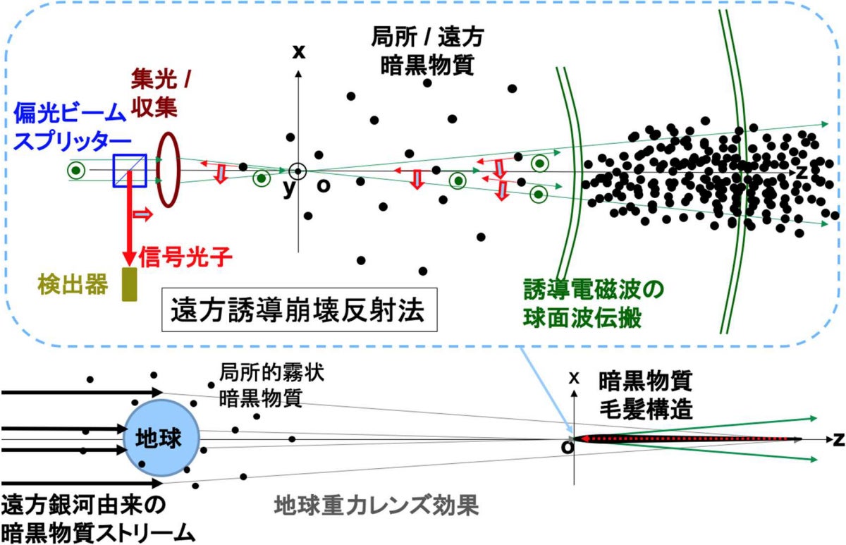 今回の研究の概要