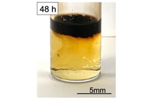 体温付近で接着力が1000倍変わる意外なゲルを開発、東北大 海のイガイから着想