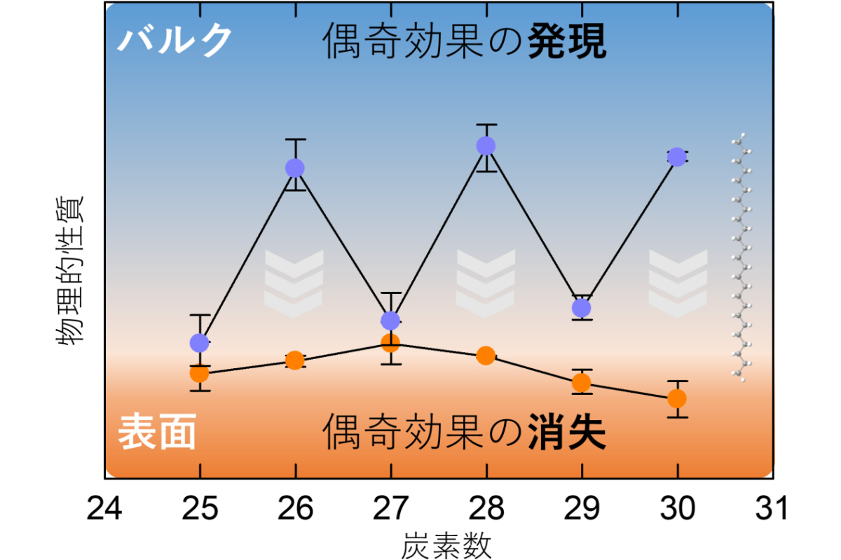 研究成果の模式図