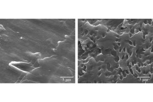 プラスチックに生分解性を与える添加剤に適した分解菌が小学校土壌から発見！