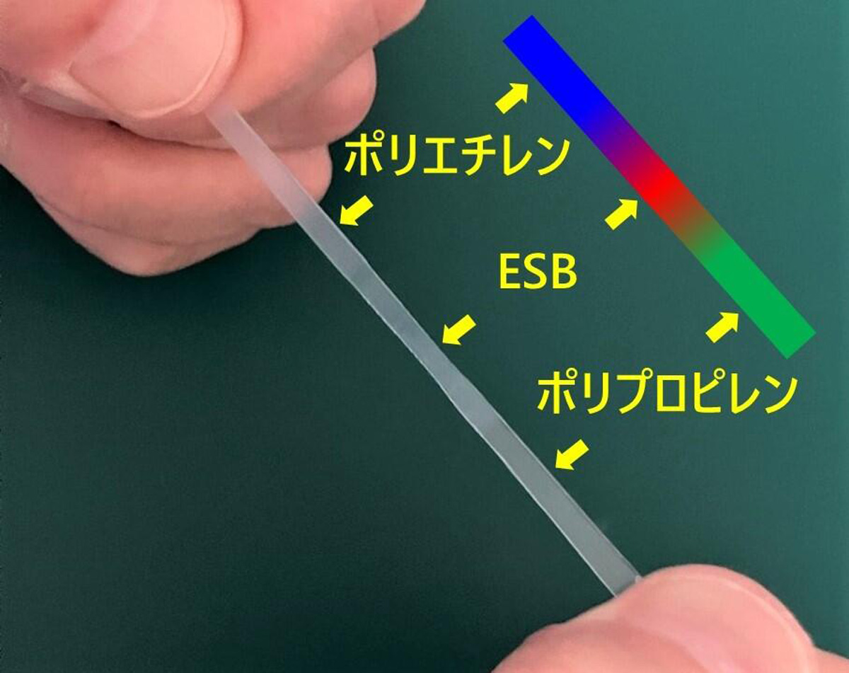 ESBにより接合されたPEとPP