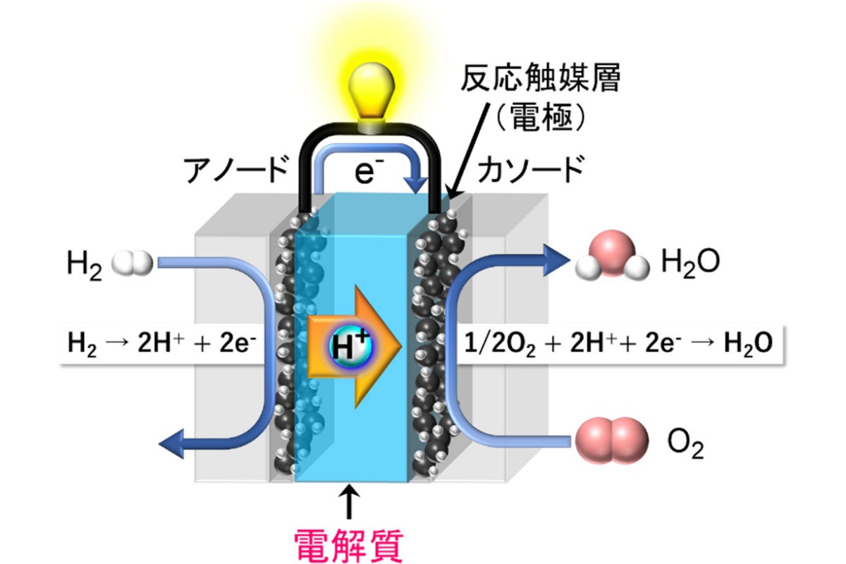 燃料電池の模式図