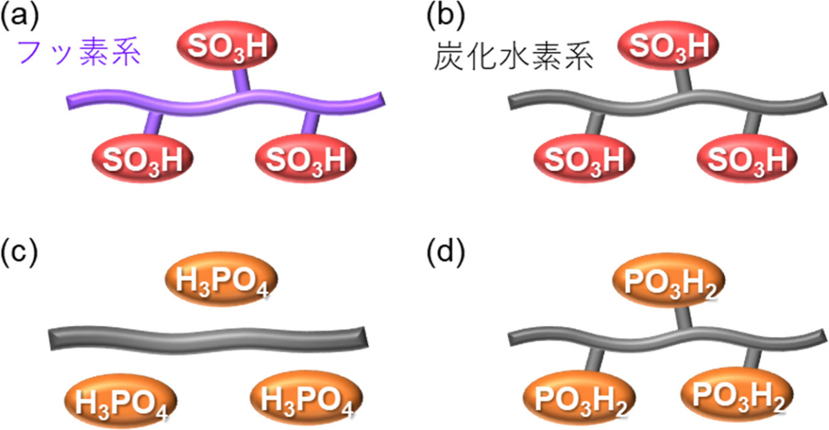 分子鎖の模式図