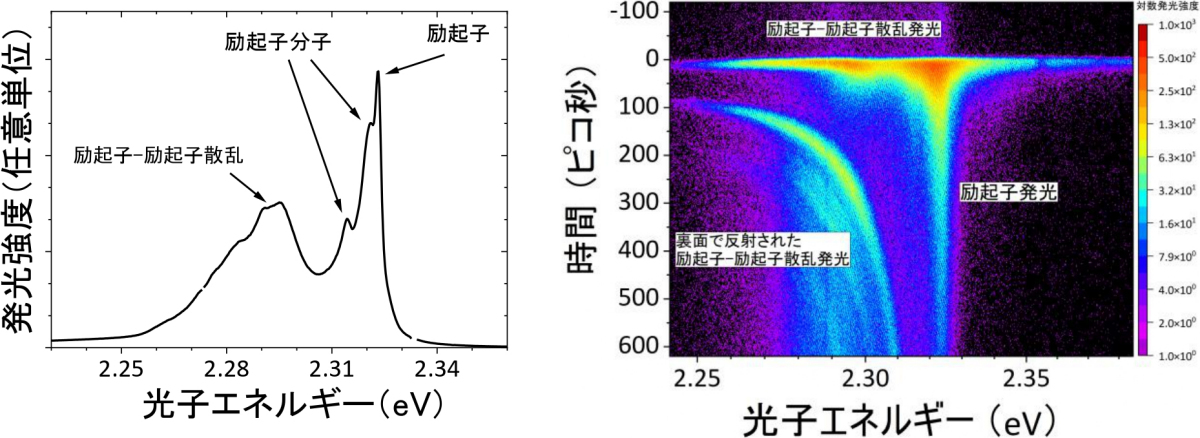 高励起条件下での発光スペクトル、時間分解発光イメージ