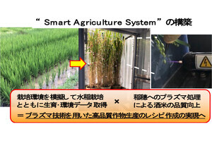 名大など、酒米の先進農業化で前進。プラズマ×データ活用で栽培レシピ作成