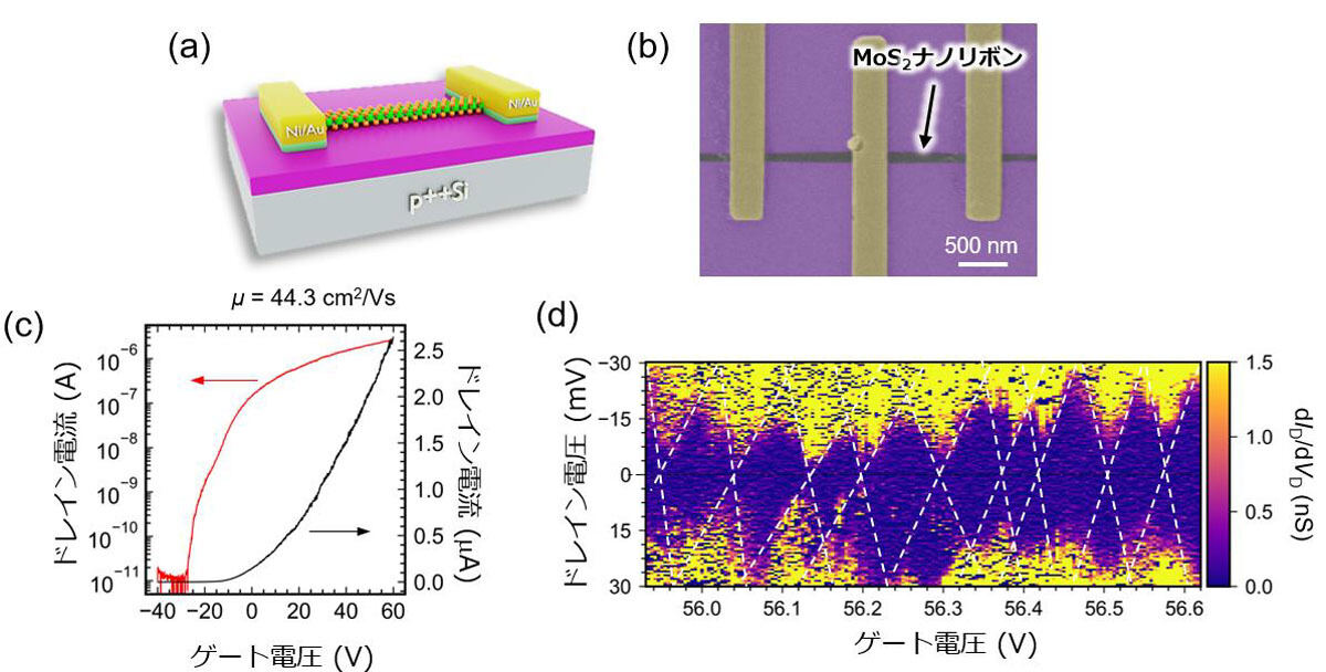 MoS2ナノリボンを半導体チャネルとしたトランジスタの構造と実際の電子顕微鏡像