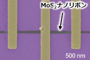 九大などがMoS2ナノリボンのトランジスタ動作を実証、次世代半導体への応用に期待