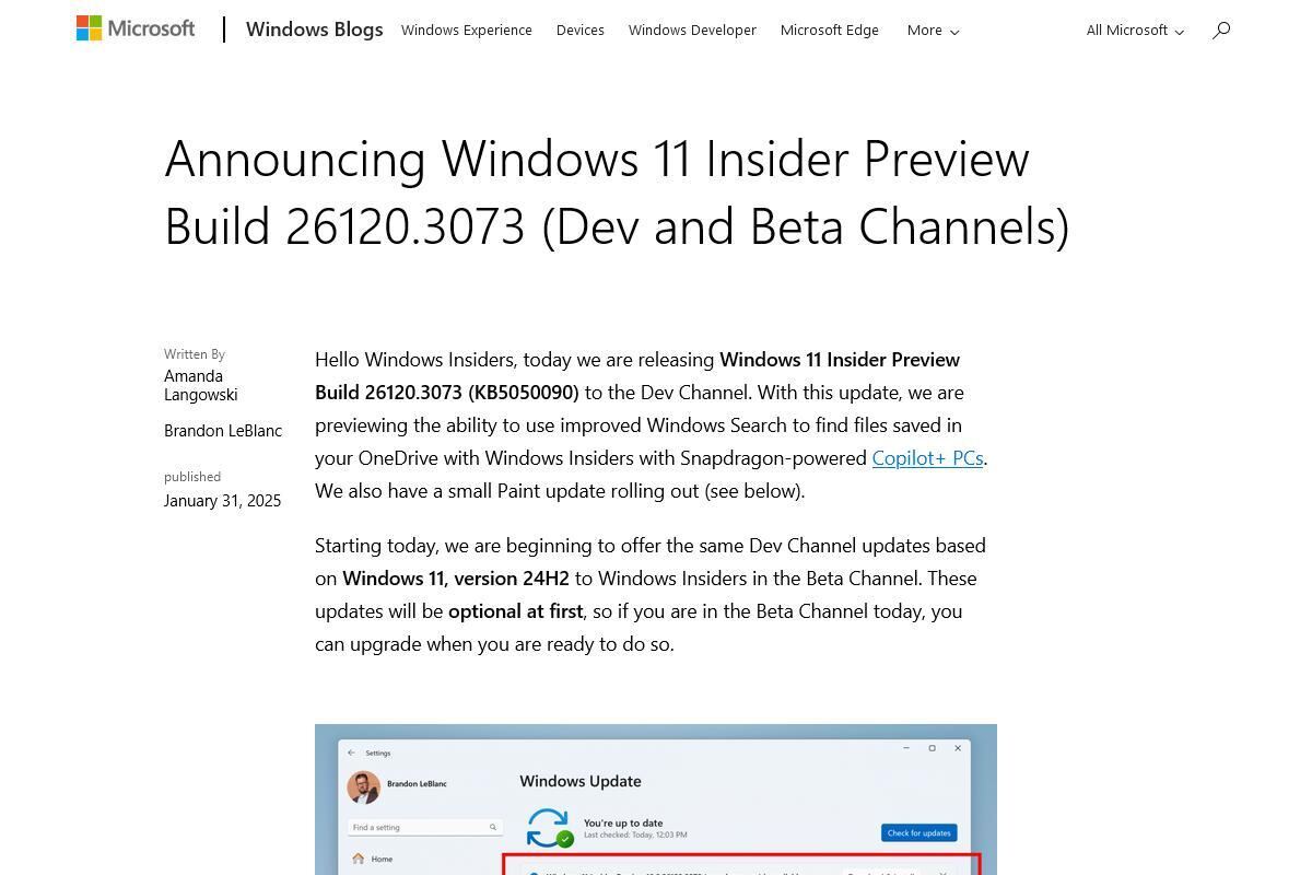 Announcing Windows 11 Insider Preview Build 26120.3073 (Dev and Beta Channels)｜Windows Insider Blog