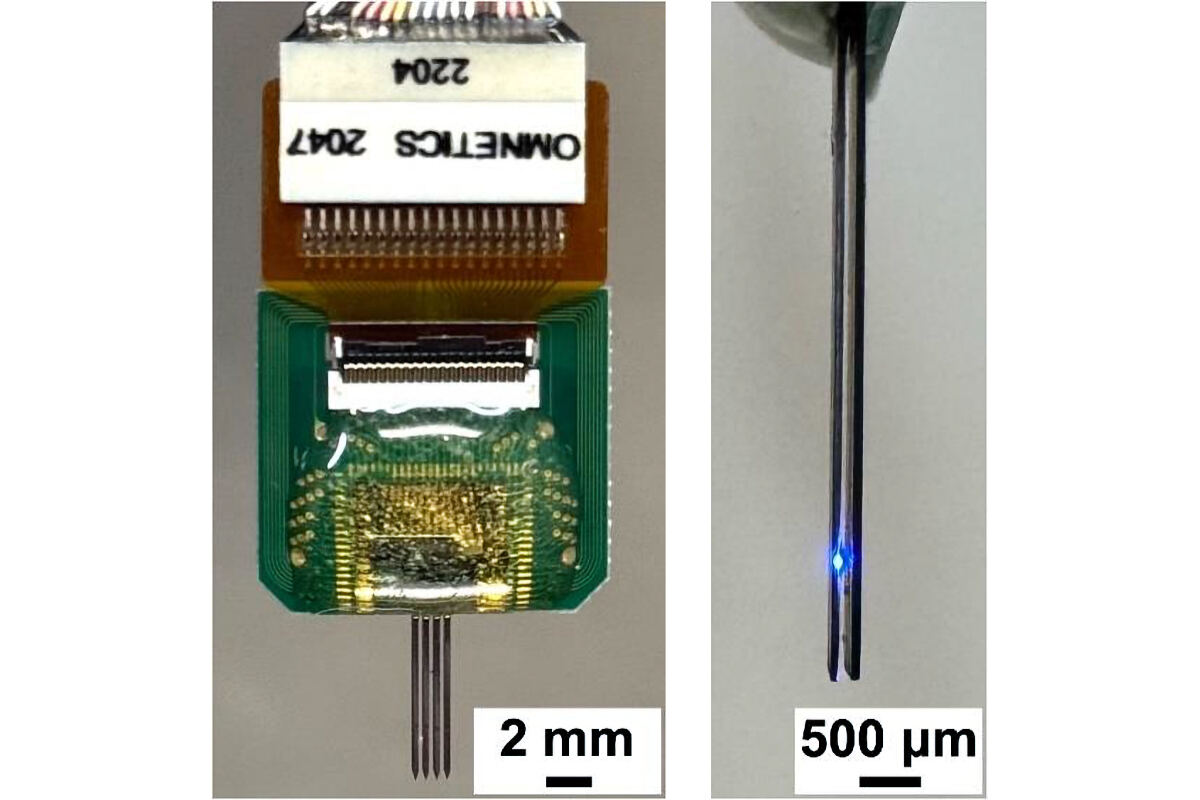 開発されたマイクロLED/神経電極ハイブリッドプローブの画像