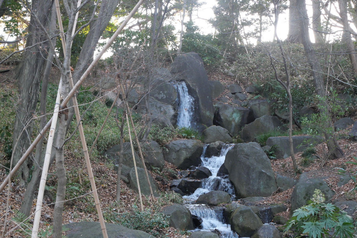 北の丸公園の滝