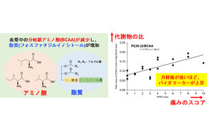 京大、指先からのわずかな血液で生理痛の重症度を客観的に示せることを確認