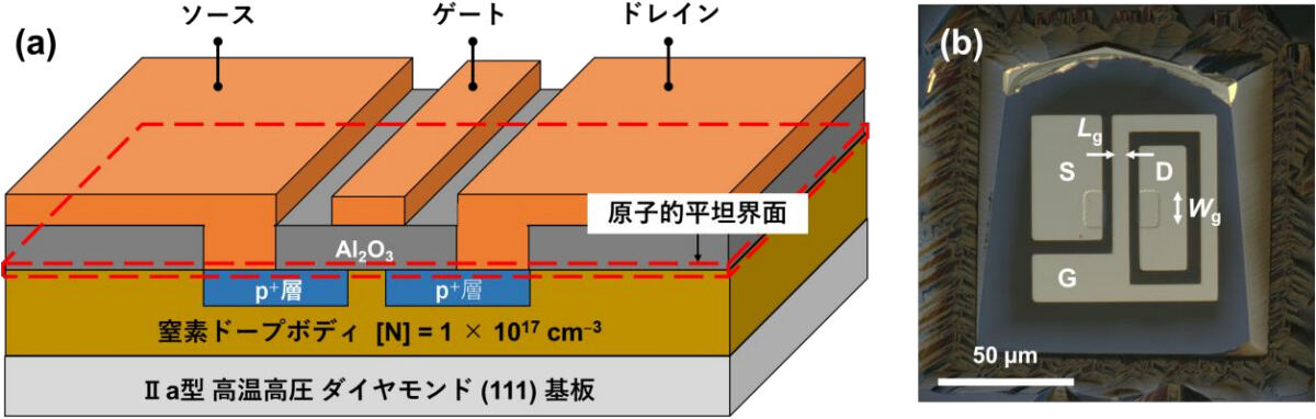 原子的平坦界面を有する反転層チャネルダイヤモンドMOSFET