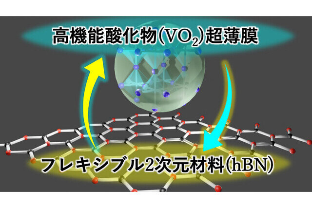 阪大、六方晶窒化ホウ素を利用して二酸化バナジウム超薄膜の作製に成功