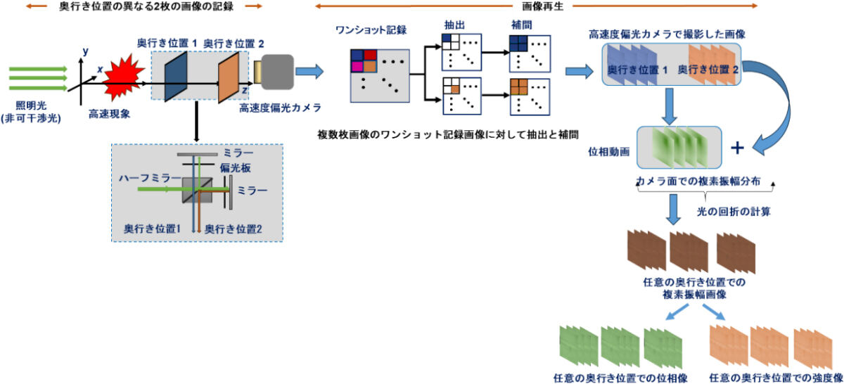 今回開発された手法による物体からの光の強度画像と位相画像を得るための処理の流れ