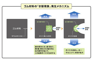 ゴムはなぜ裂ける?  住友ゴムがメカニズムを解明、タイヤの耐摩耗性向上へ