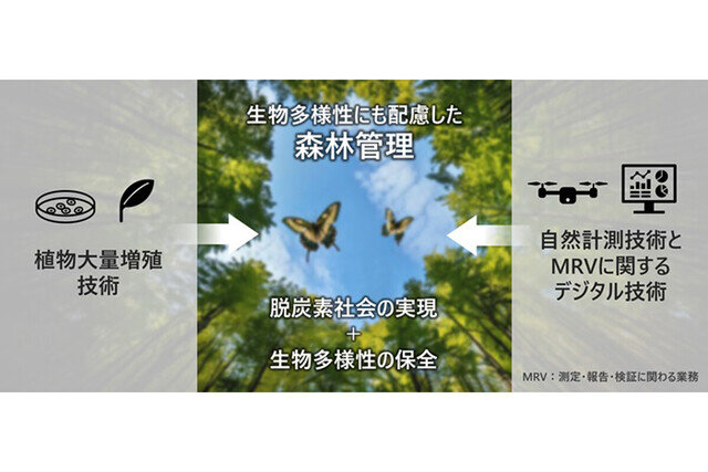 キリンと日立、森林由来カーボン・クレジット創出に向け共同研究を開始