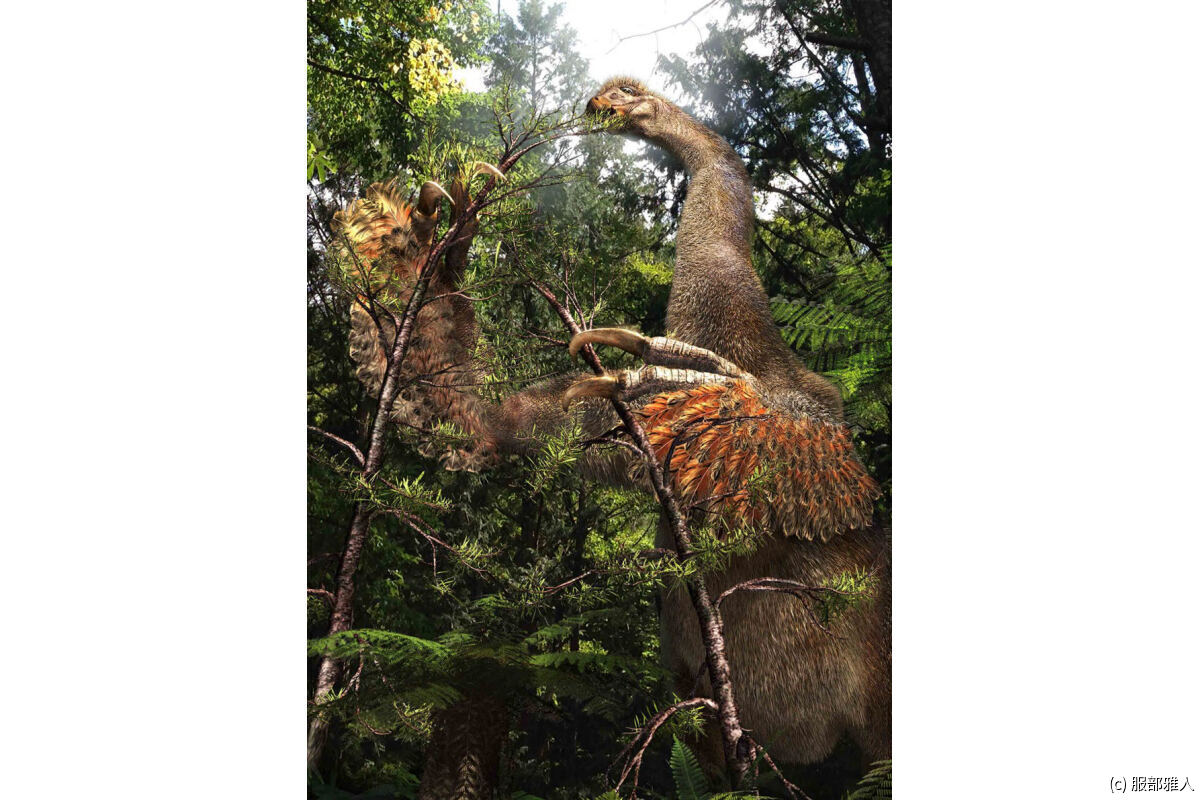 デュオニクスの復元画