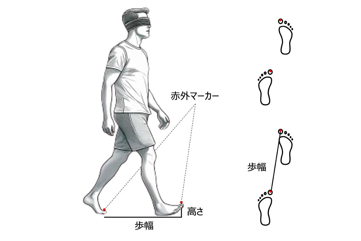 研究での実験のイメージ