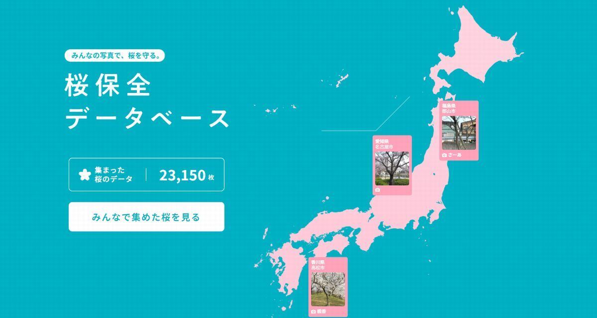 桜保全データベース