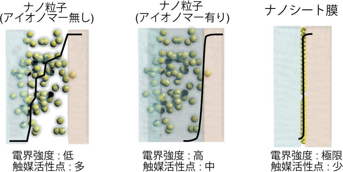 バイポーラ膜の触媒構造による反応活性点量および電位の違いに関する模式図