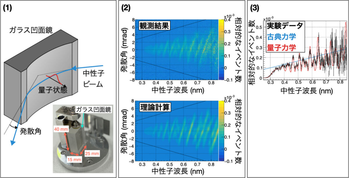 今回の研究概要