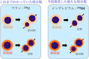 アインスタイニウムから生じた非対称核分裂 - 従来研究では説明不能な新発見