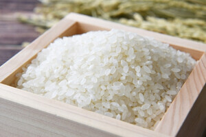 【トランプ・ショック】日本の交渉カードに「コメ」  外食各社で米国産のコメ使用へ