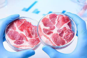 培養肉の味の決め手は“熟成”、遊離アミノ酸変化で味制御へ　東大チーム発表