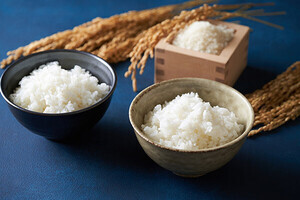 過熱水蒸気が鍵! 冷蔵ご飯のおいしさを保つ“新炊飯法”大阪公大が開発