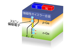 スピントンネルFET実現へ、阪大などがpn接合で室温スピン伝導を初観測