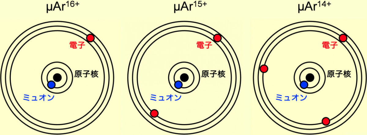 今回観測された多価ミューオンイオンの模式図