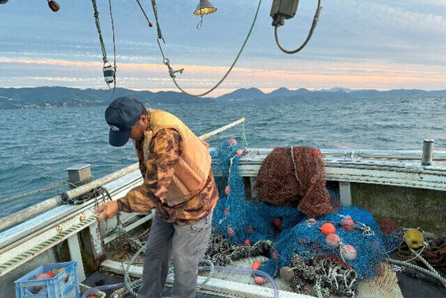 ビニール袋5枚の海底ごみで底びき網から小型生物逃げられず 長崎大