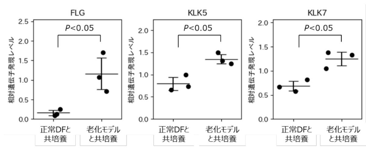 線維芽細胞とのクロストーク実験後の表皮モデルにおける遺伝子発現定量（P：T検定、n=3）