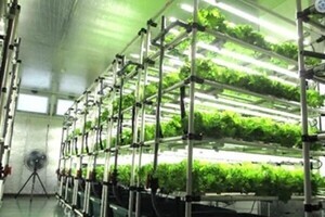 プランツラボラトリー×北海道電力、資本業務提携を締結- 植物工場事業の拡大へ