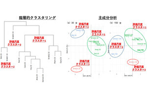 飲酒後の反応は3通り - 理研などが日本人のアルコールタイプを分類