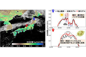 植物だって昼寝する。気象衛星ひまわりで30分毎に活動推定の新手法