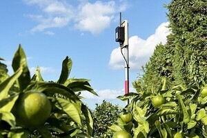 IIJ、愛媛県のスマート農業プロジェクトに採択 - 品質と収量の両立を支援