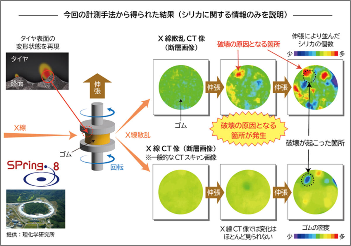 今回の研究で得られた成果