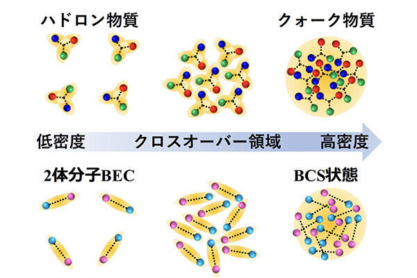 中性子星の内部構造解明へ　“極限状態のクロスオーバー”新理論を東大ら提唱