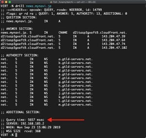 実行してはいけないLinuxコマンド 第28回 DNSストレステストを運用サーバに向けてDoS攻撃を起こしてしまう