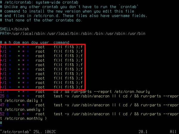 cronに1分ごとに10個のFork爆弾が炸裂するように仕込み