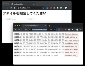 ゼロからはじめるGo言語 第8回 ブラウザで使えるバイナリビューワーを作ろう