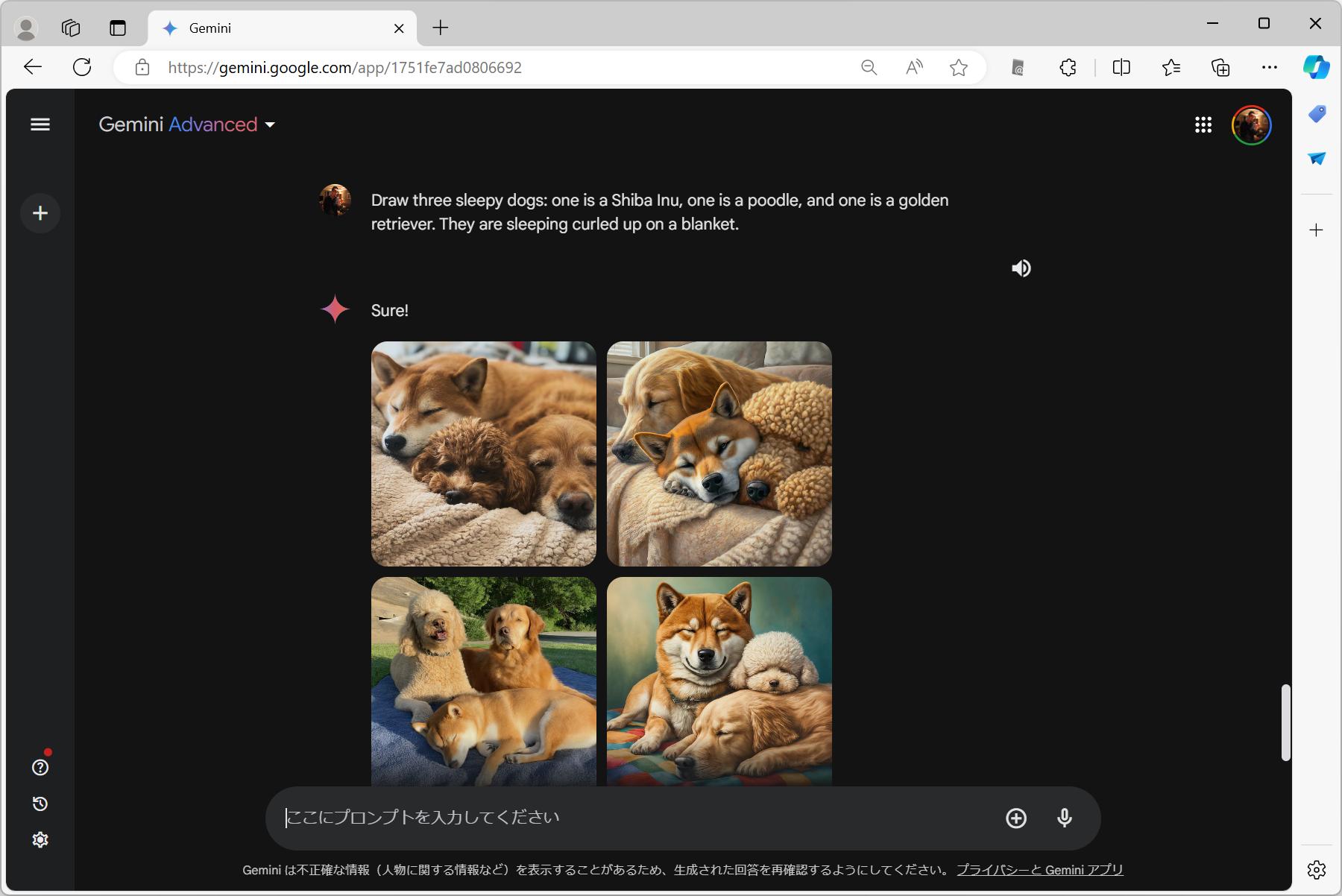 ちょっと説明を長くした英文でGoogle Geminiへ指示したサンプル