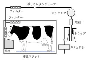 近未来テクノロジー見聞録 第151回 農研機構、新たな牛のメタン排出量の算出式を開発