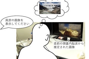 近未来テクノロジー見聞録 第175回 大阪大学がヒトが想像した画像を画面に表示する脳情報解読技術の開発に成功
