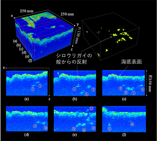 海底面下を透視する海底調査ツールA-core-2000で観測した相模湾深海