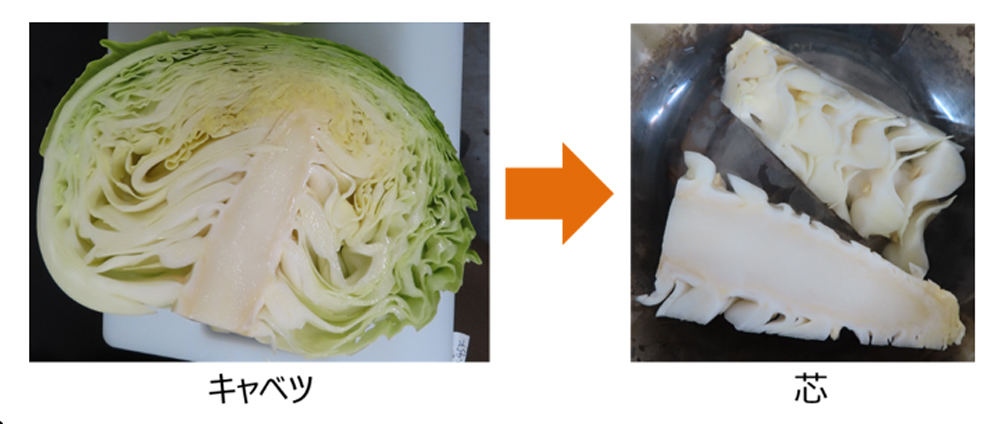 半分に割られたキャベツと、廃棄されることの多いキャベツの芯