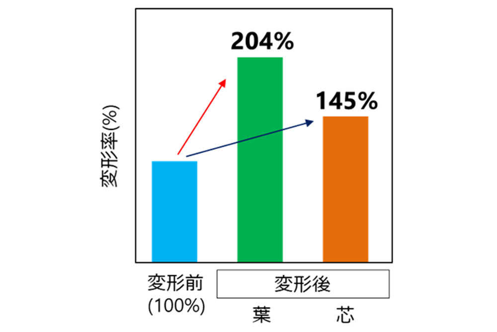 加水したキャベツ粗粉末に上部から加圧した際のつぶれ具合を示した試験結果の概要