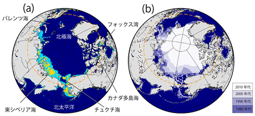 海底ブルームの発生する海域(黄色)(a)と過去の海氷分布(b)